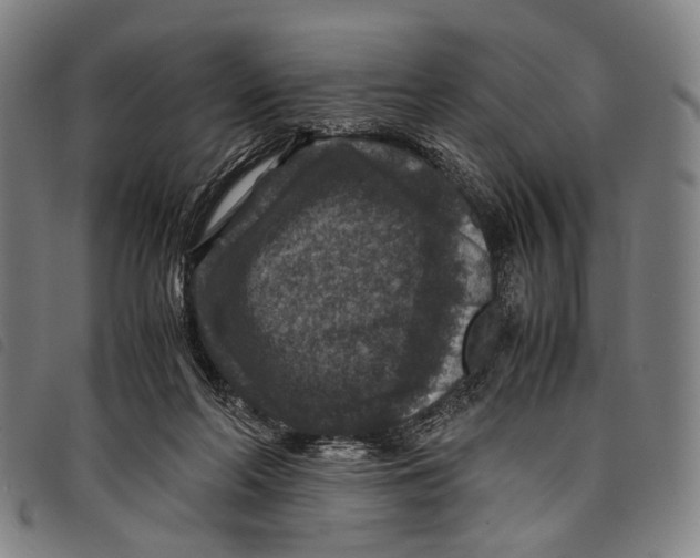 X0000097840214200804041451