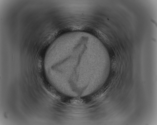 X0000097840215200804041451