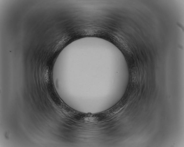 X0000097840216200804041451