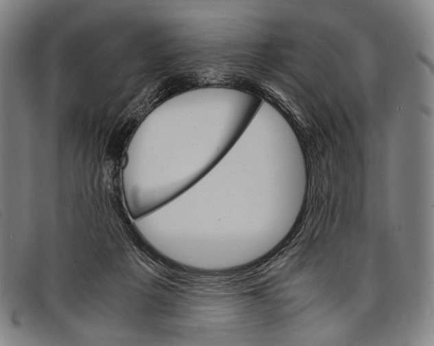 X0000097840217200804041451