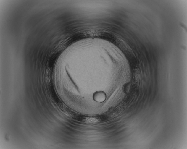 X0000097840218200804041451