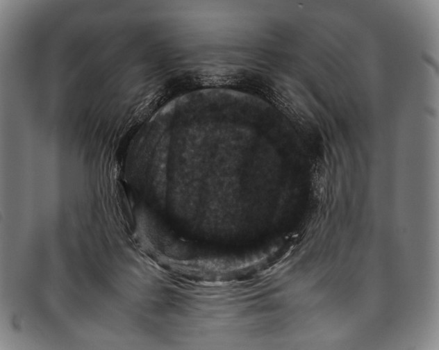 X0000097840219200804041451