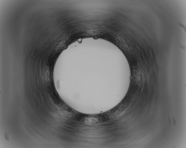 X0000097840220200804041451