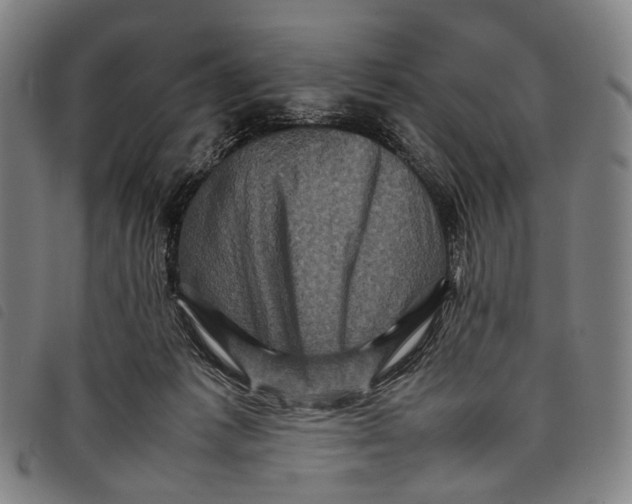 X0000097840221200804041451