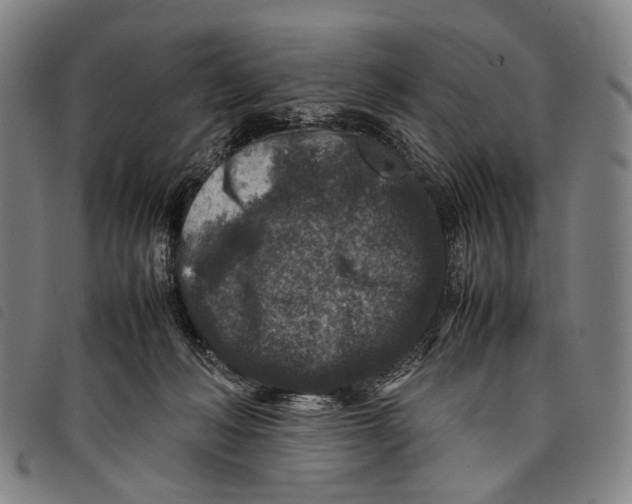 X0000097840222200804041451
