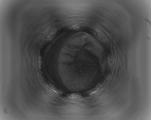 X0000097840223200804041451