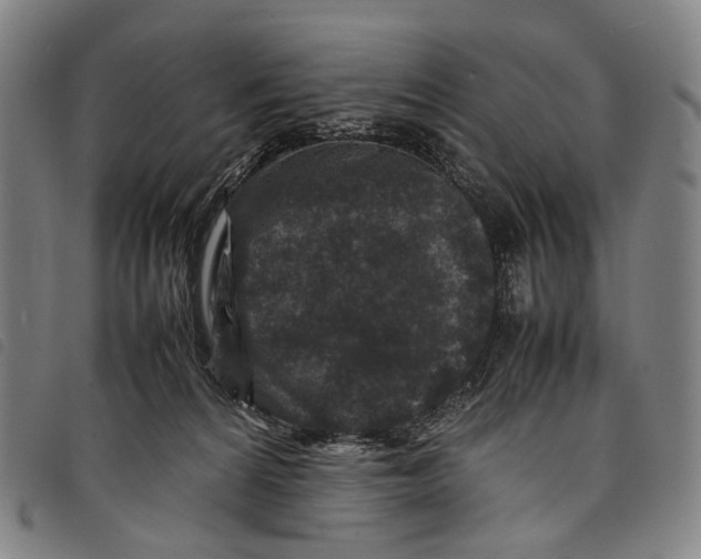 X0000097840224200804041451