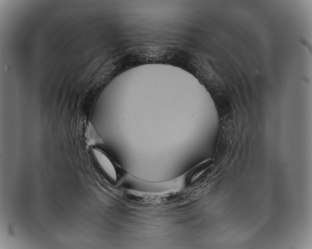 X0000097840225200804041451