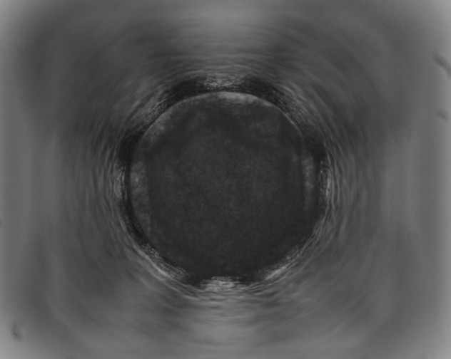X0000097840227200804041451
