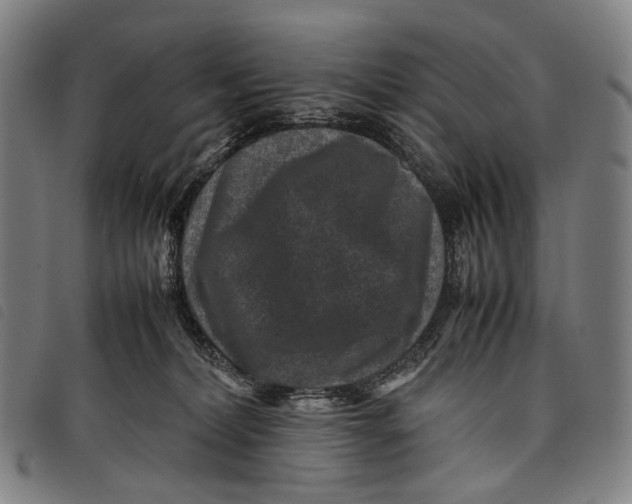 X0000097840228200804041451