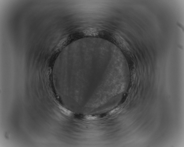 X0000097840229200804041451
