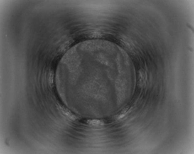 X0000097840230200804041451