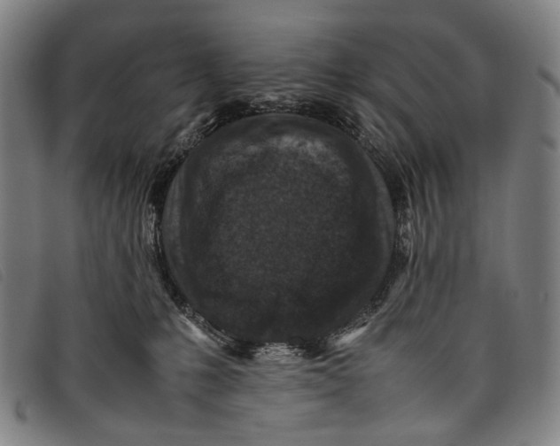 X0000097840231200804041451