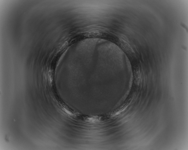 X0000097840232200804041451