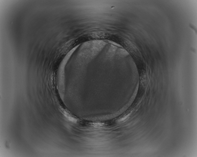 X0000097840233200804041451