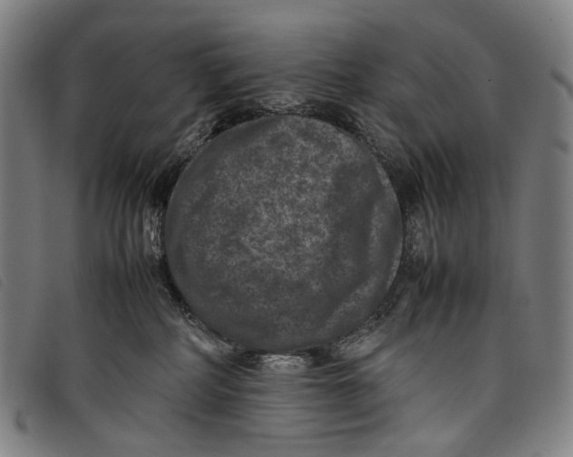 X0000097840234200804041451