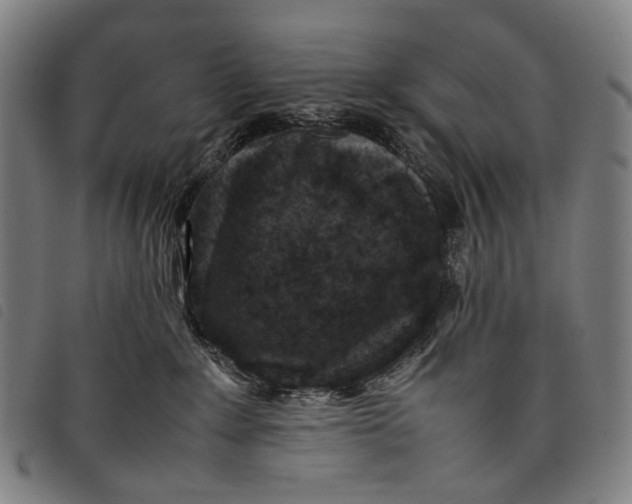 X0000097840235200804041451