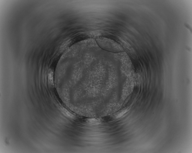 X0000097840238200804041451
