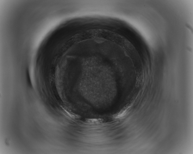 X0000097840239200804041451
