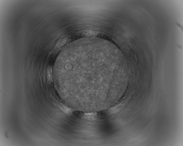 X0000097840240200804041450