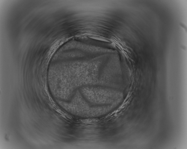 X0000097840241200804041450