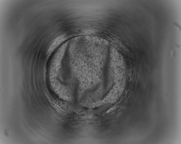 X0000097840242200804041450