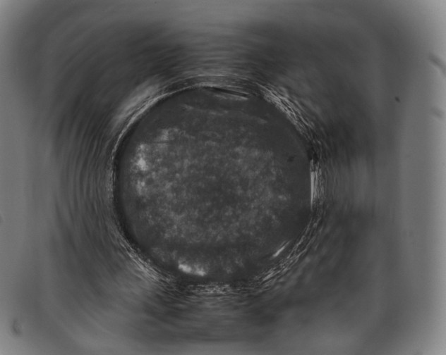 X0000097840243200804041450