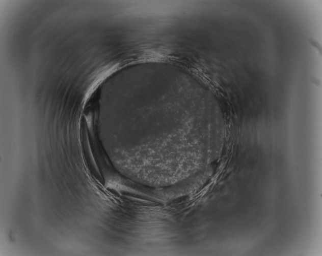 X0000097840244200804041450