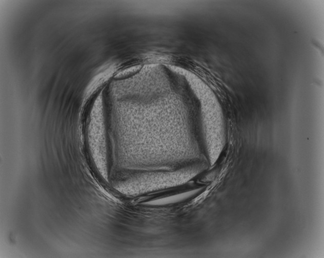 X0000097840245200804041450