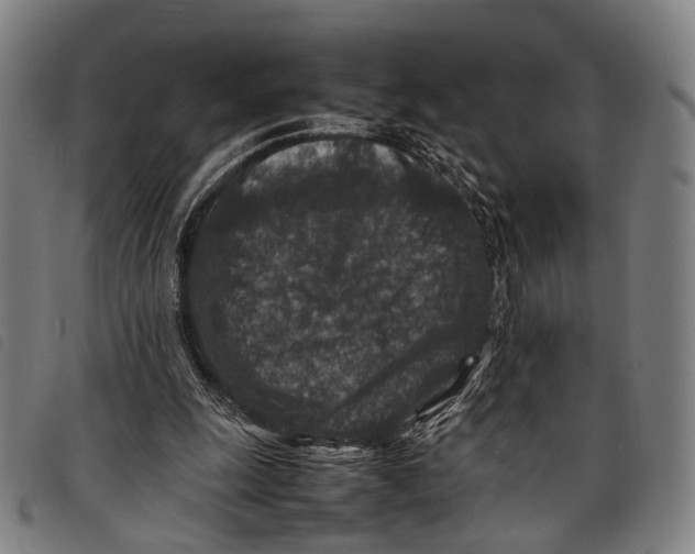 X0000097840247200804041450