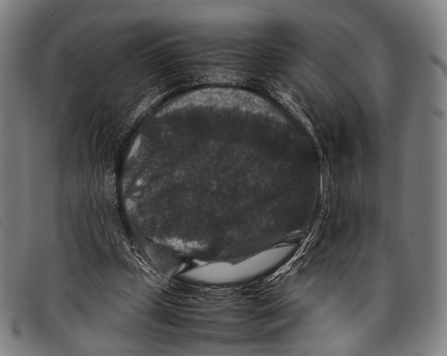 X0000097840249200804041450