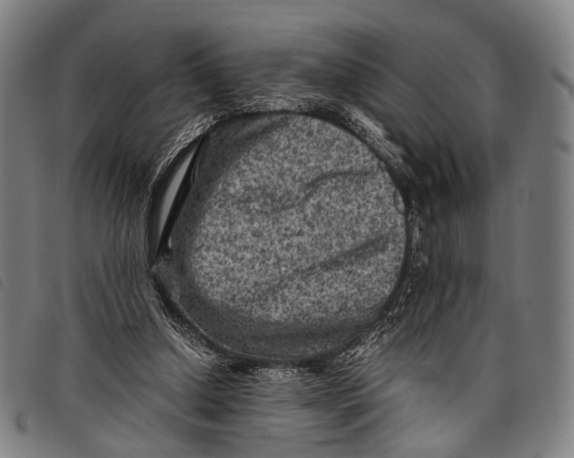 X0000097840250200804041450