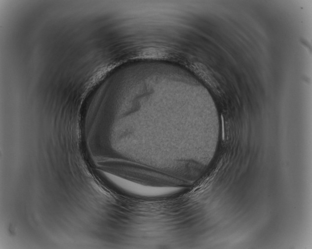 X0000097840252200804041450