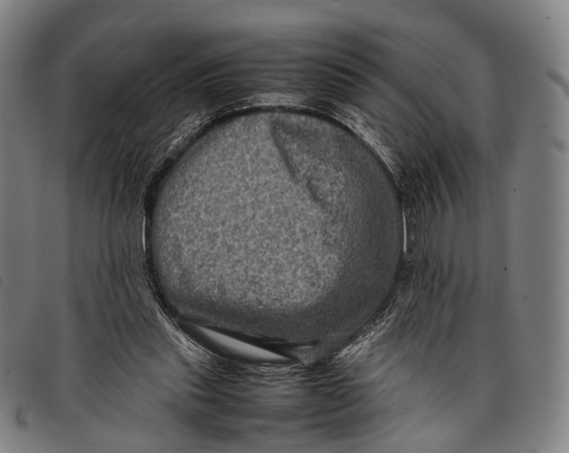 X0000097840253200804041450