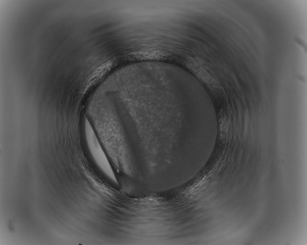 X0000097840254200804041450