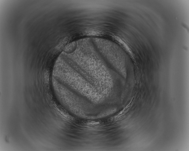X0000097840257200804041450