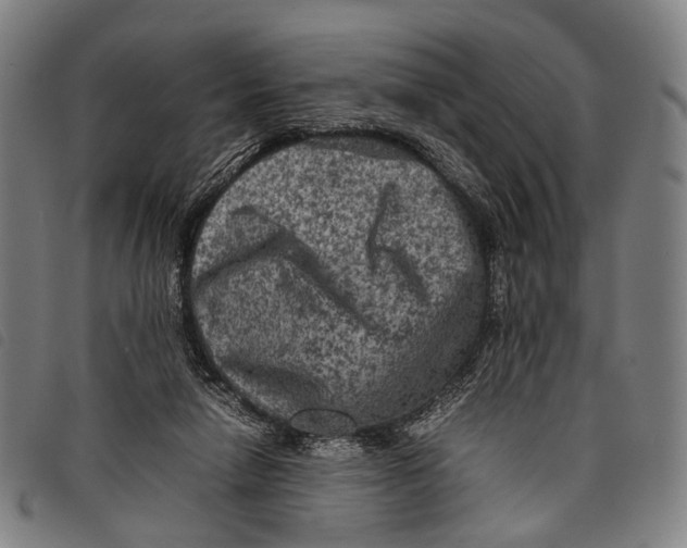 X0000097840258200804041450