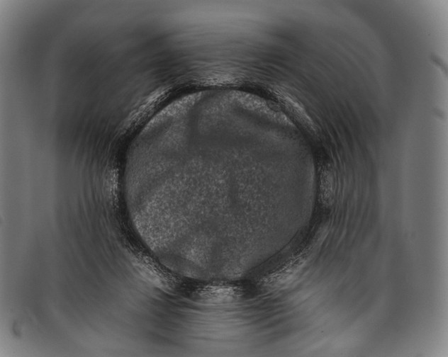 X0000097840260200804041450