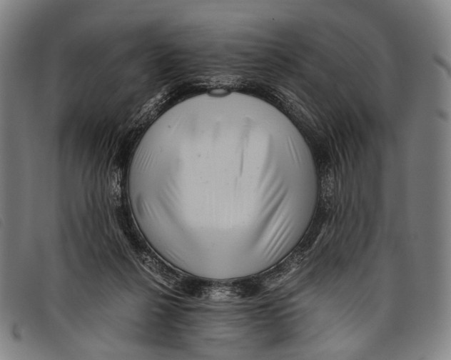 X0000097840264200804041450