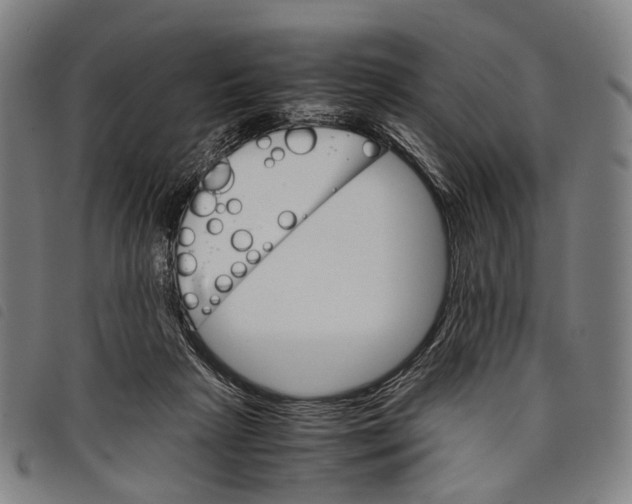 X0000097840265200804041450