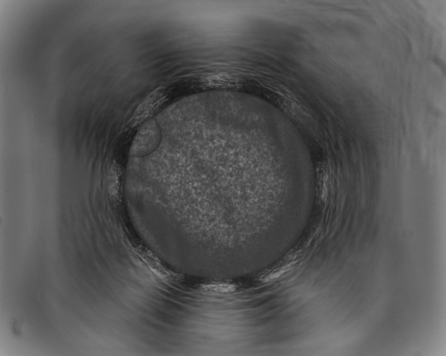 X0000097840266200804041450