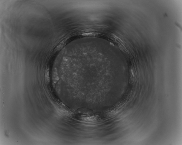 X0000097840267200804041450