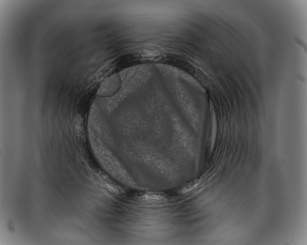 X0000097840270200804041450