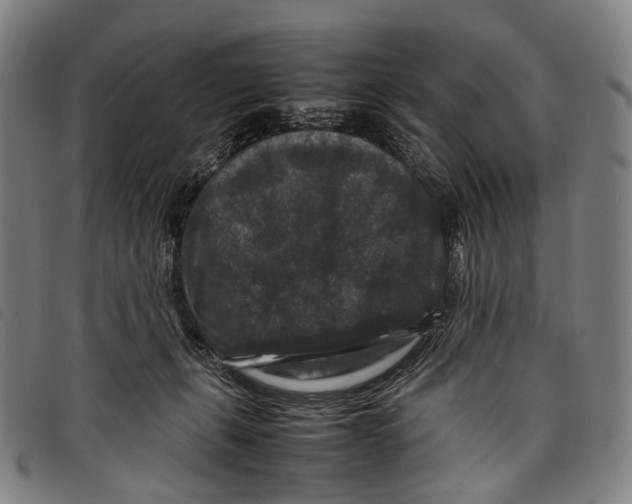 X0000097840271200804041450