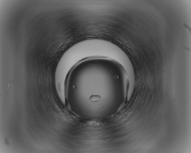 X0000097840272200804041450