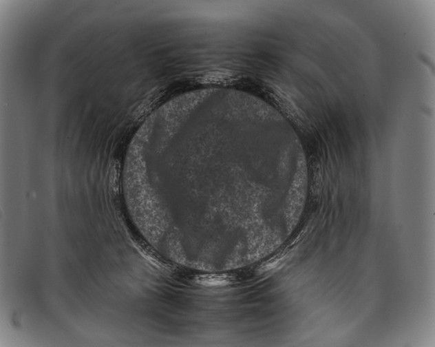 X0000097840273200804041450