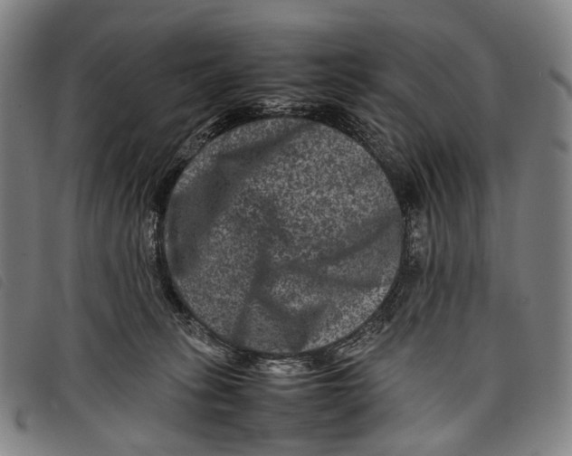 X0000097840275200804041450