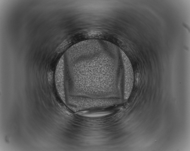X0000097840278200804041450