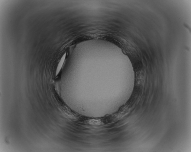 X0000097840279200804041450