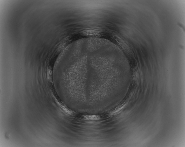 X0000097840281200804041450